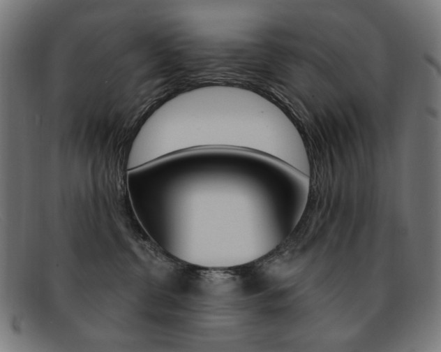 X0000092110380200709121134