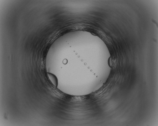 X0000092110381200709121134