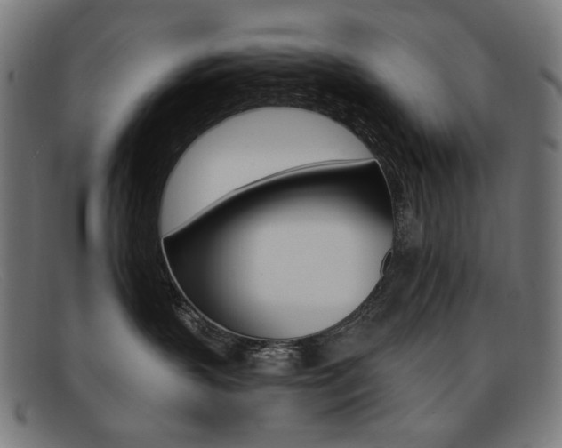 X0000092110383200709121134