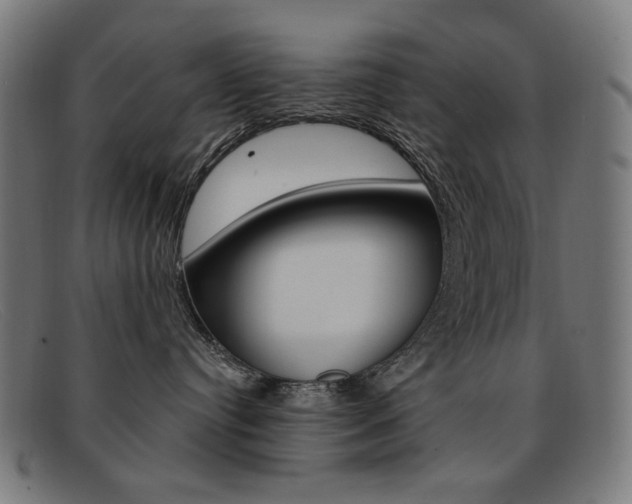 X0000092110384200709121134