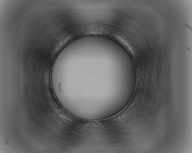 X0000092110386200709121134