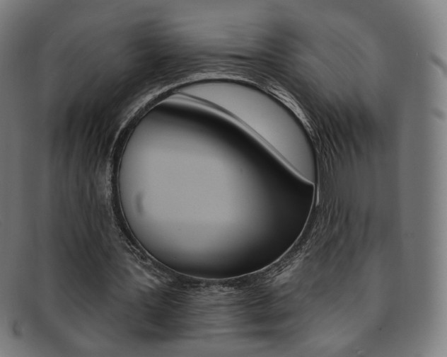 X0000092110387200709121134