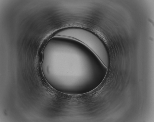 X0000092110388200709121134