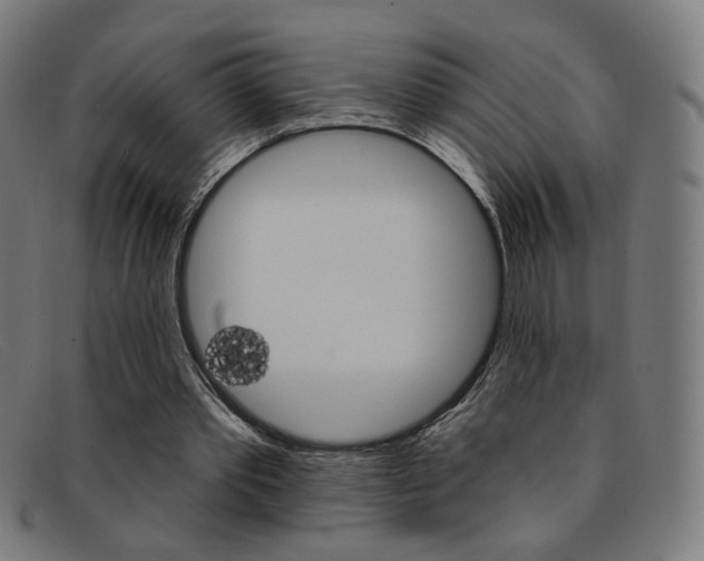 X0000092110389200709121133