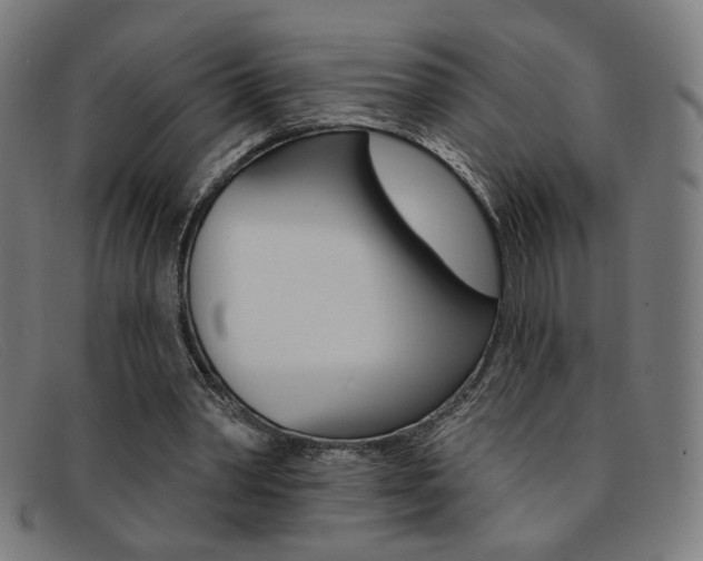 X0000092110390200709121133