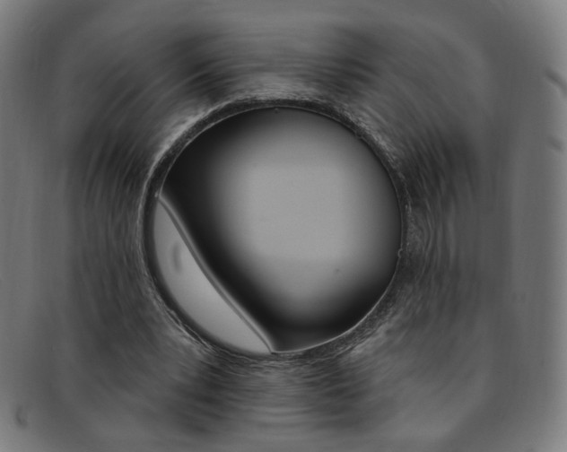 X0000092110391200709121133