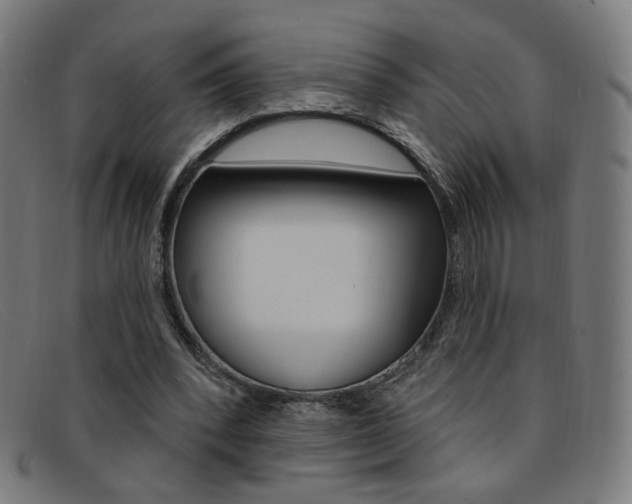 X0000092110392200709121133