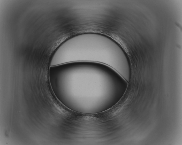 X0000092110393200709121133