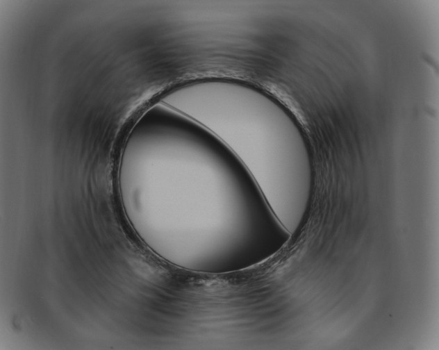 X0000092110395200709121133