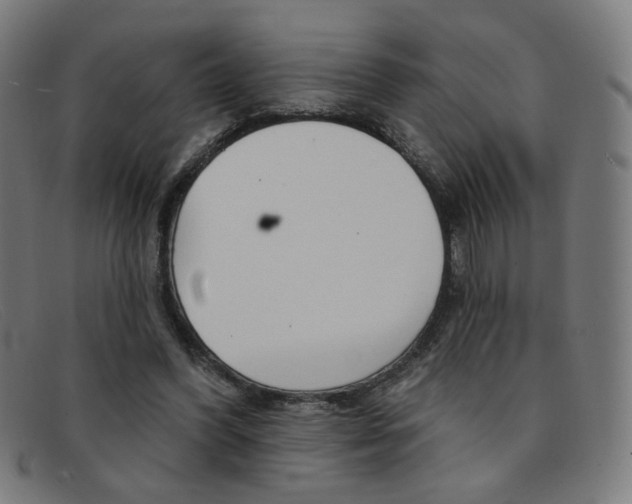 X0000092110396200709121133