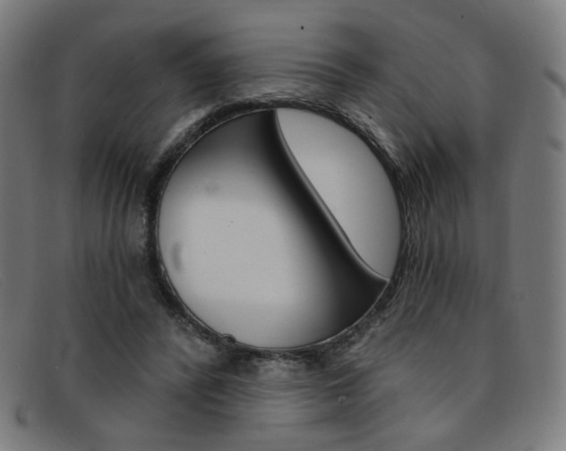 X0000092110400200709121133