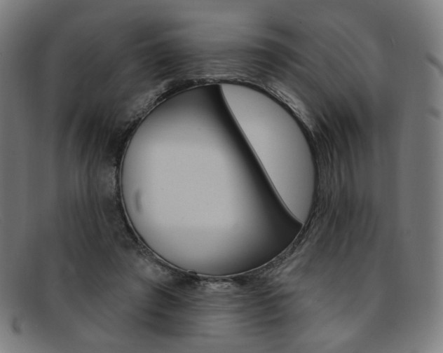 X0000092110401200709121133