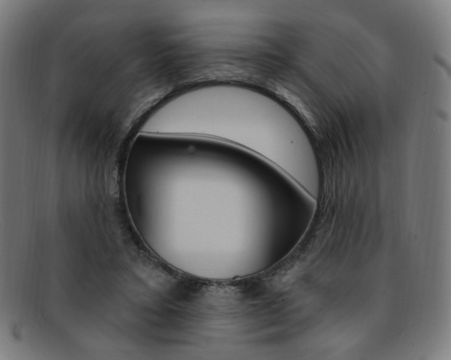 X0000092110403200709121133