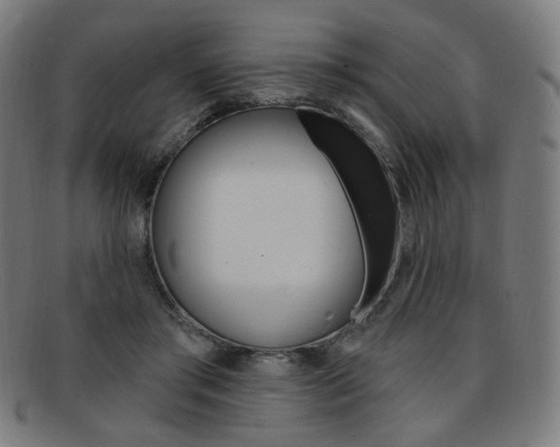 X0000092110405200709121133
