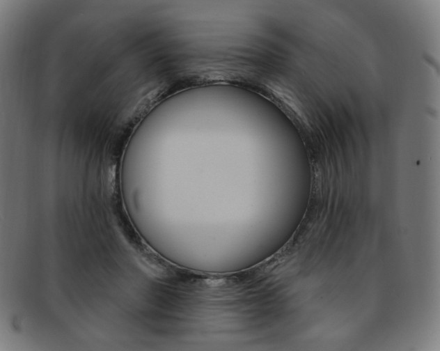 X0000092110406200709121133