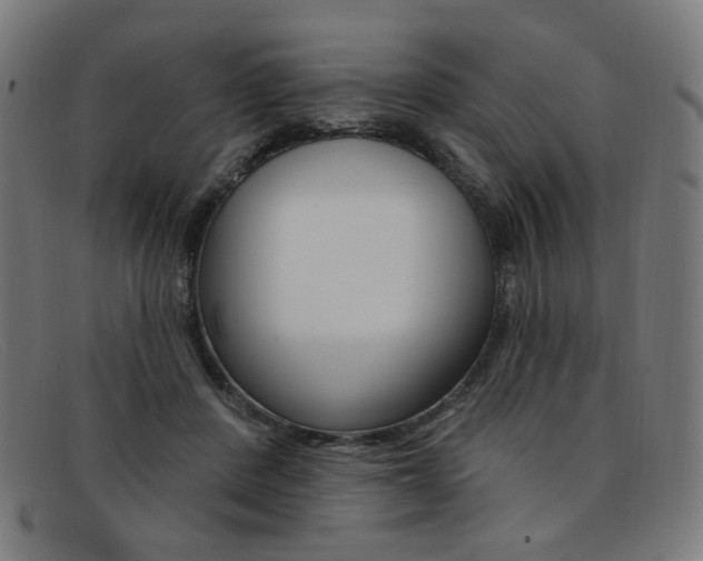 X0000092110408200709121133