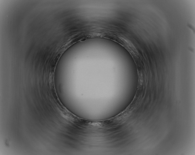 X0000092110409200709121133