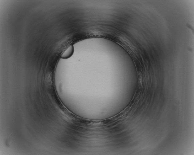 X0000092110410200709121133