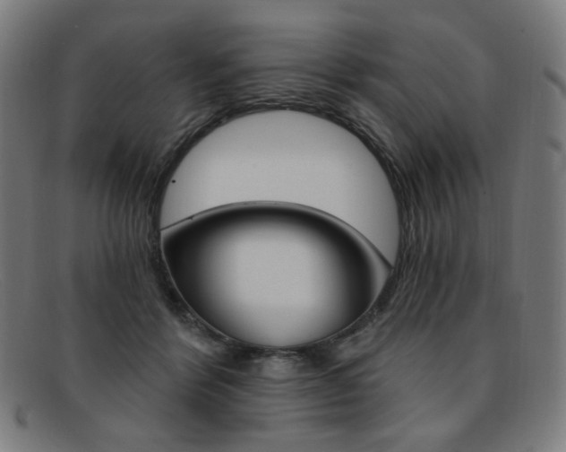 X0000092110412200709121133
