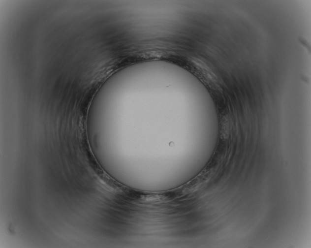 X0000092110414200709121133