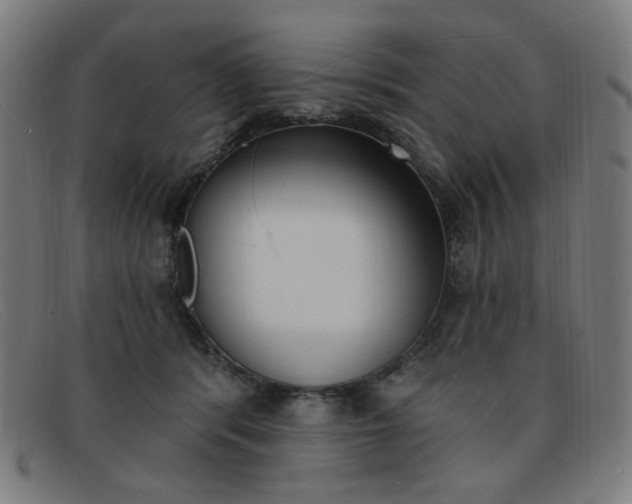 X0000092110416200709121133