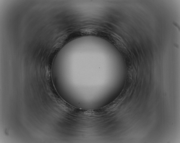 X0000092110420200709121133