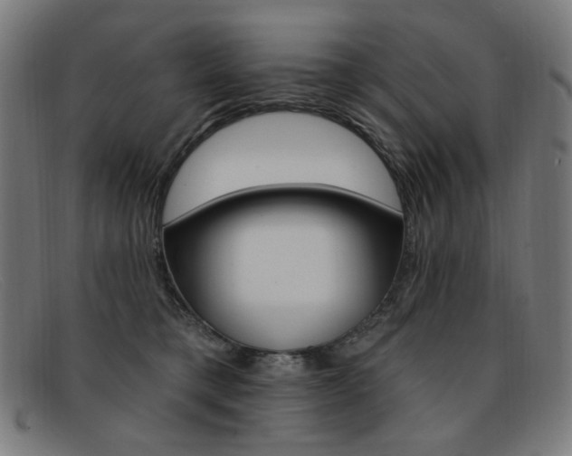 X0000092110421200709121133