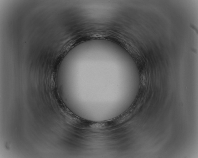 X0000092110422200709121133