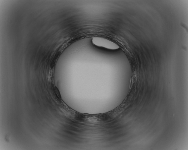 X0000092110423200709121133
