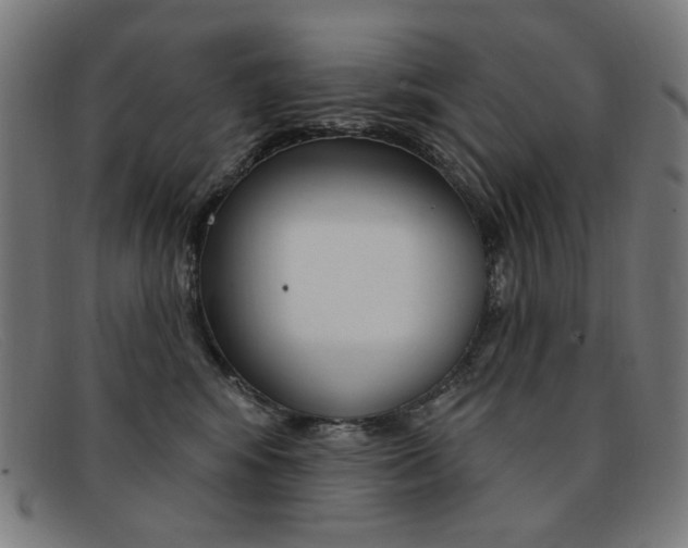 X0000092110424200709121133