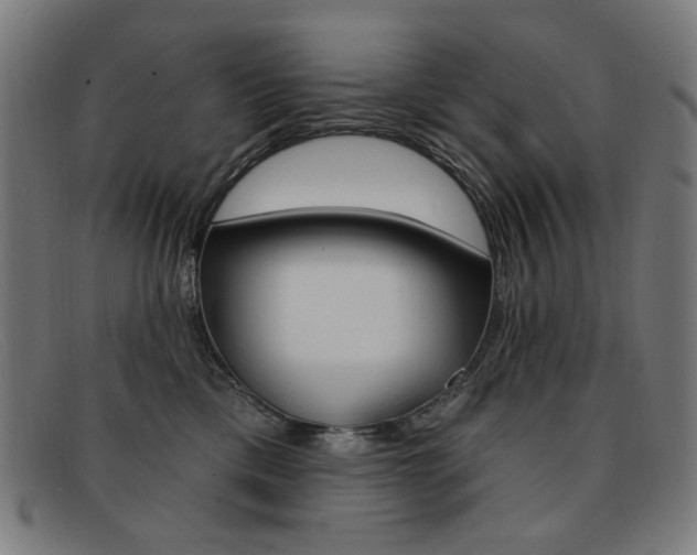 X0000092110425200709121133