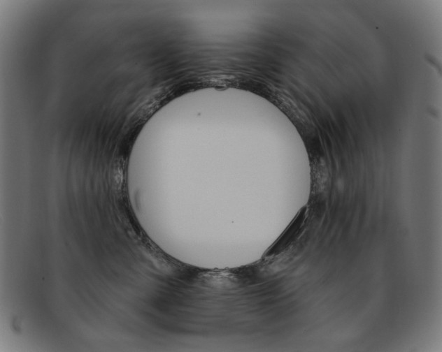 X0000092110427200709121133