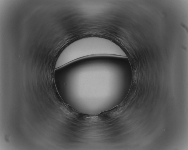 X0000092110428200709121133