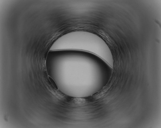X0000092110429200709121133