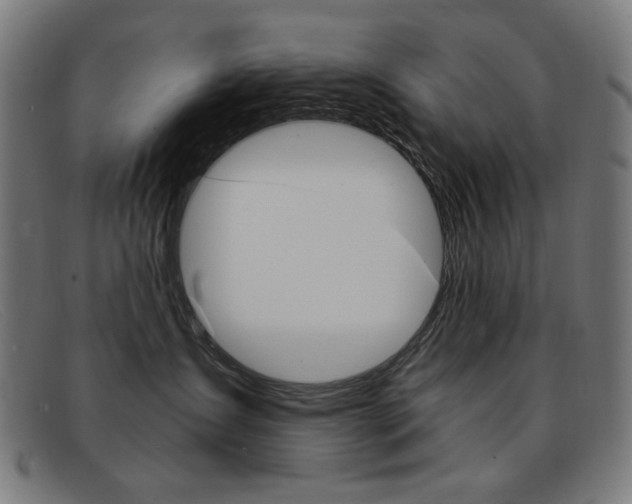 X0000092110431200709121133