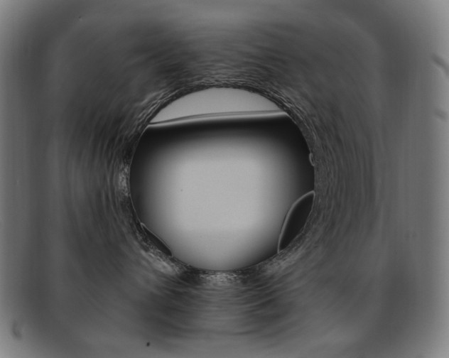 X0000092110432200709121133