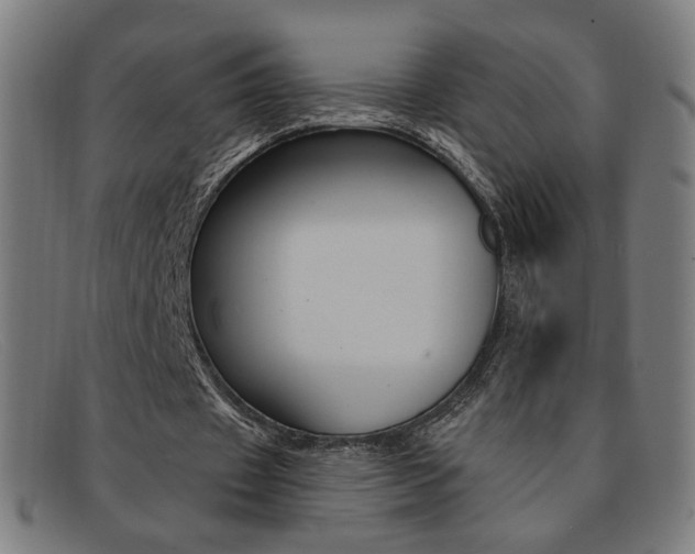 X0000092110433200709121132