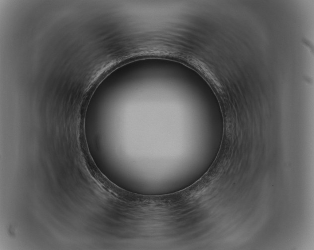 X0000092110434200709121132