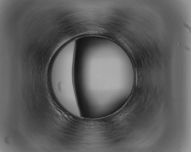 X0000092110435200709121132
