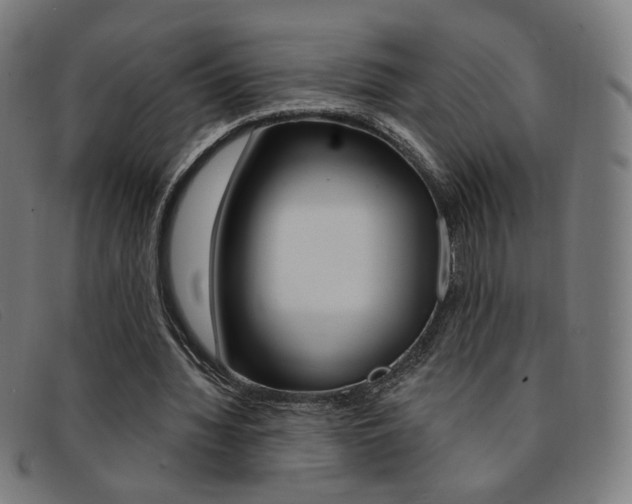 X0000092110436200709121132