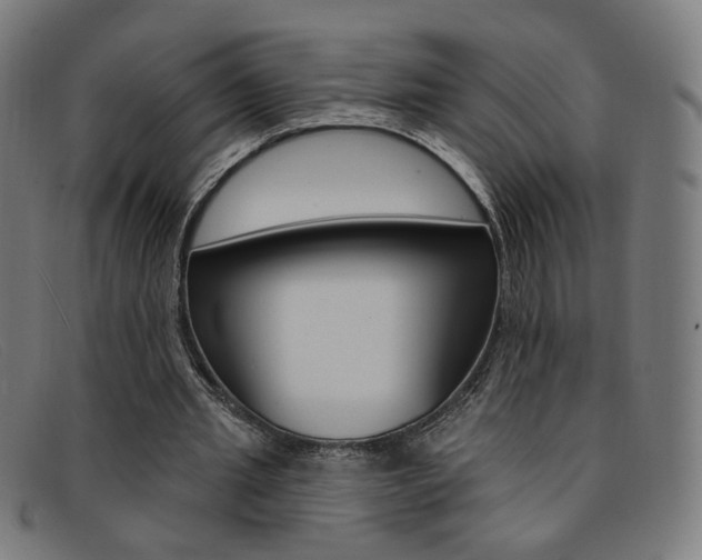 X0000092110437200709121132