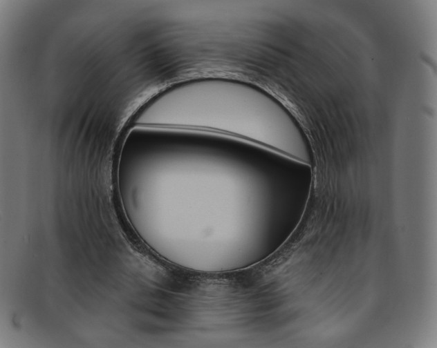 X0000092110438200709121132