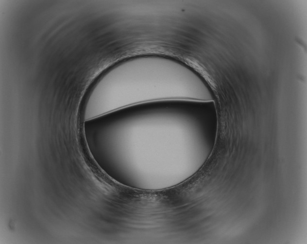 X0000092110439200709121132