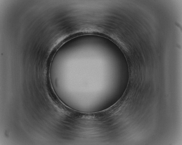 X0000092110440200709121133