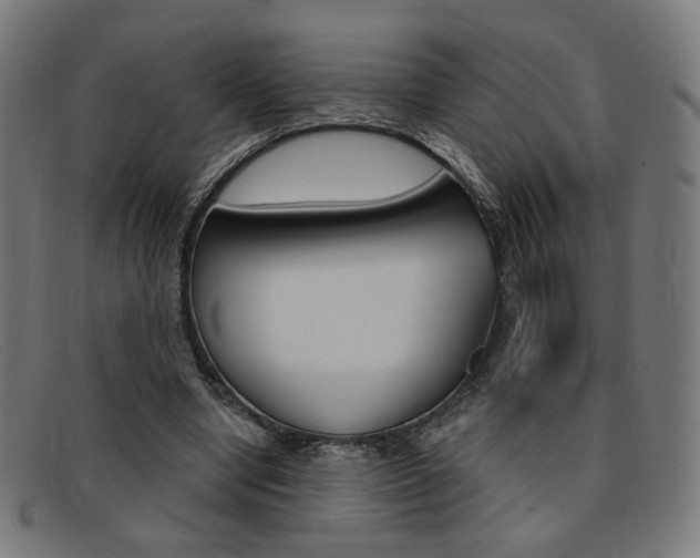 X0000092110442200709121133