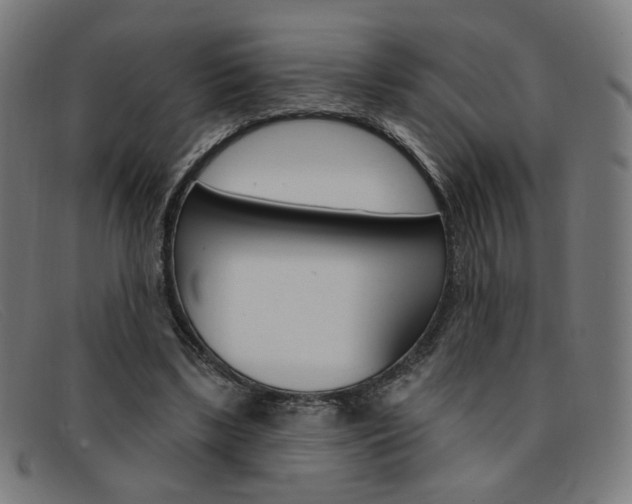 X0000092110443200709121133
