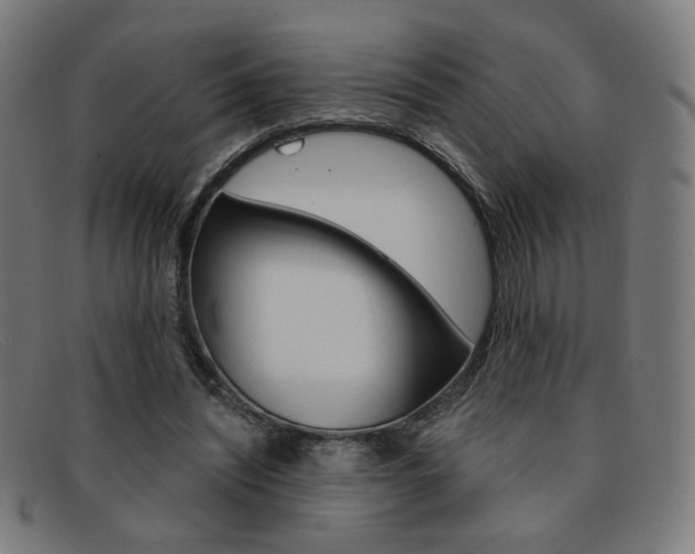 X0000092110444200709121133