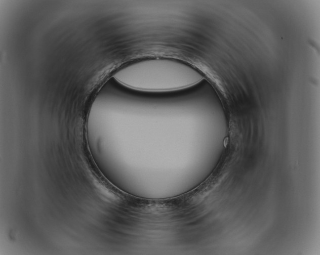 X0000092110445200709121133