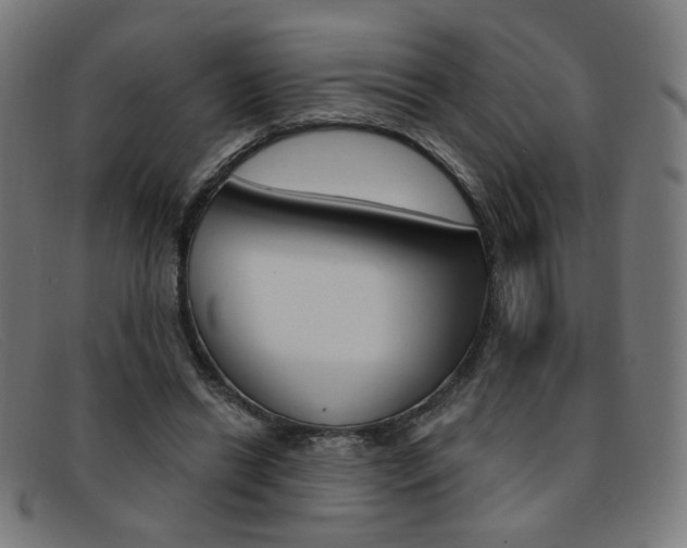 X0000092110446200709121133