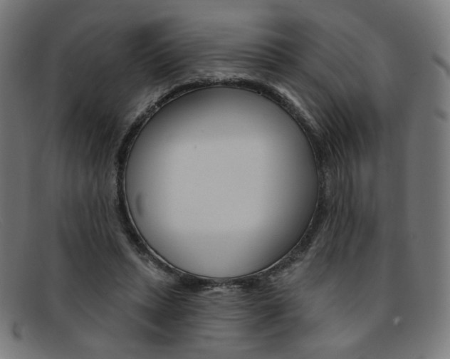 X0000092110447200709121133